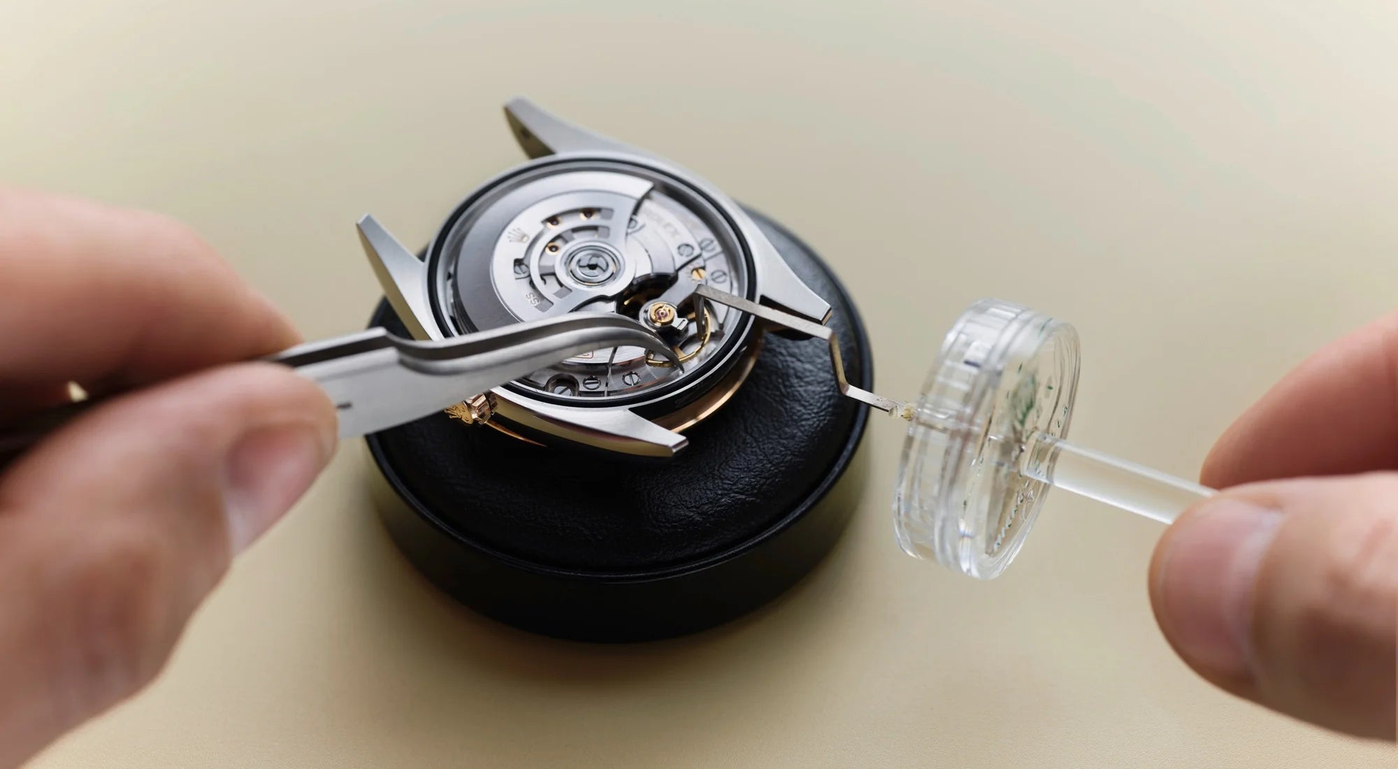 Rolex feature image